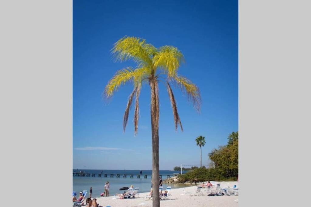 רסקין Sea Spray, Studio 114, Beach Steps Away! Pool+Wifi מראה חיצוני תמונה